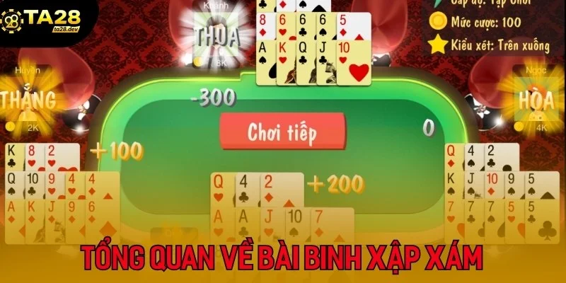 Tổng quan về Binh Xập Xám Ta28