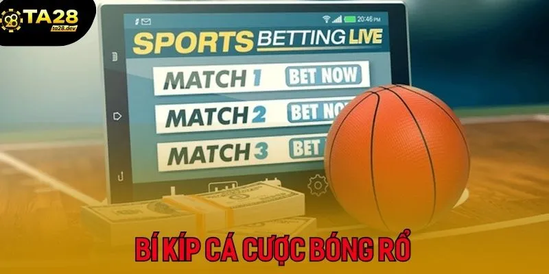 Các bí kíp này sẽ giúp bạn cá cược bóng rổ tại TA28 hiệu quả hơn