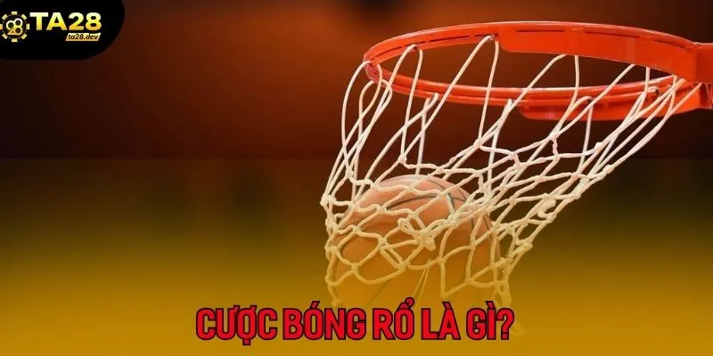 Giới thiệu về cá cược bóng rổ tại TA28