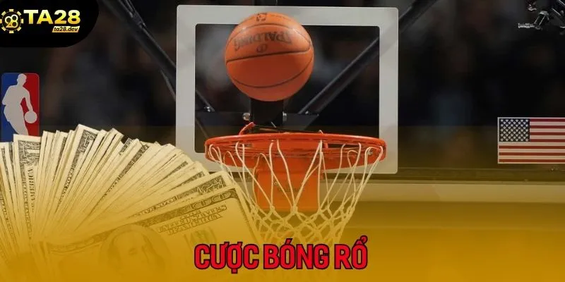 Cược bóng rổ