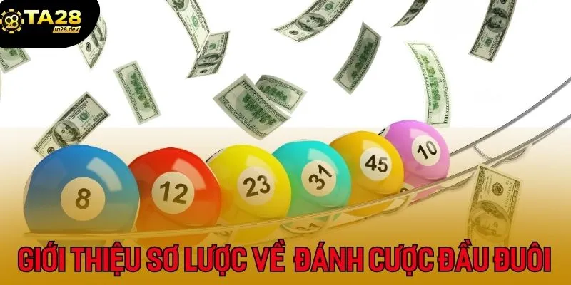 Đề Đầu Đuôi Là Gì? Bí Kíp Bắt Đề Chạm Chuẩn Nhất Ta28 2 Giới thiệu sơ lược về cách đánh cược đầu đuôi