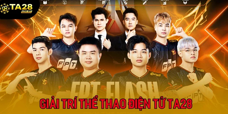 Giải trí thể thao điện tử cùng cổng game Ta28